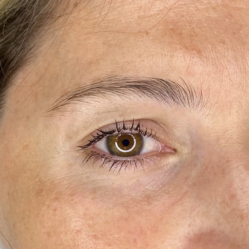 realistic brows prima